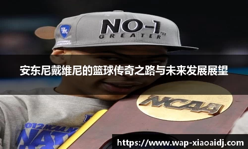 安东尼戴维尼的篮球传奇之路与未来发展展望